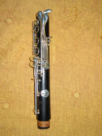 Cl particolare 1 med.jpg