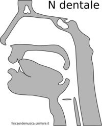 Cons n dentale.png