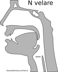 Cons n velare.png