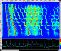 Spettro VOX ScalaA.png