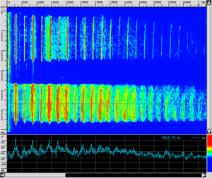 Spettro CL Frullo.png