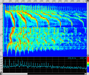 Spettro CL Sample.png