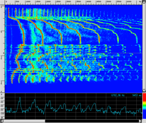 Spettro CL SampleDRY.png