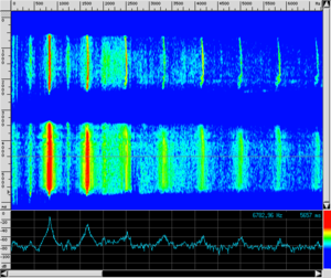 Spettro FL Frullo.png