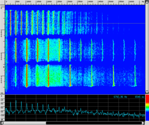 Spettro FL Ottave.png