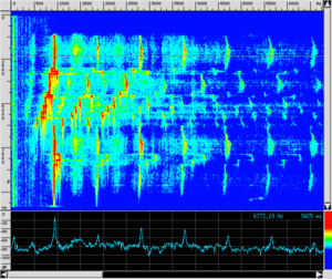 Spettro FL SAMPLE.png