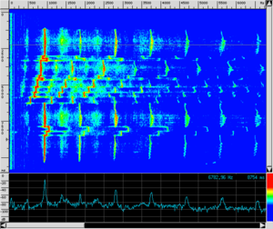 Spettro FL SampleDry.png