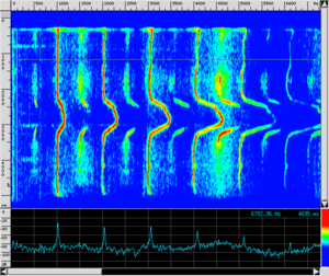 Spettro OB Ancia.png