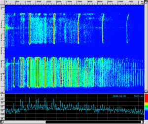 Spettro OB SuoniDoppi2.png