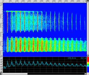 Spettro TR Frullo.png