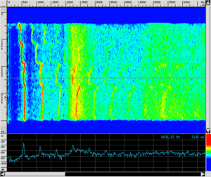 Spettro TR Labbra.png