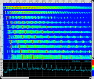 Spettro TR NAT Armonici.png