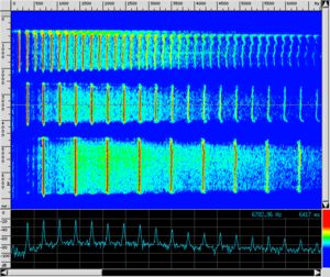 Spettro TR Ottave.png