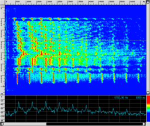 Spettro TR SampleDry.png