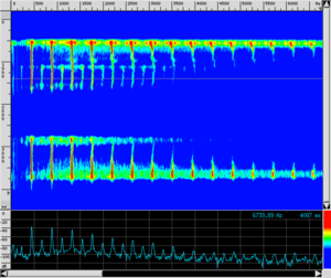 Spettro TR Sforzando attacco.png
