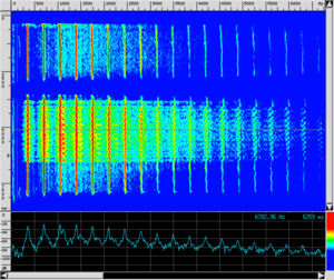 Spettro TR Tremolo.png