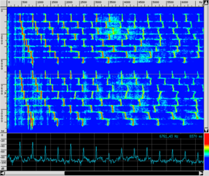 Spettro VL NylonBudello.png