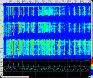Spettro VL TastieraPonticello.png
