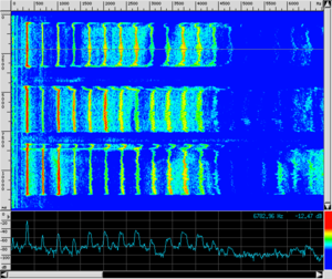 Spettro VOX BoccaChiusa.png