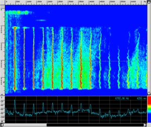 Spettro VOX Crescendo.png