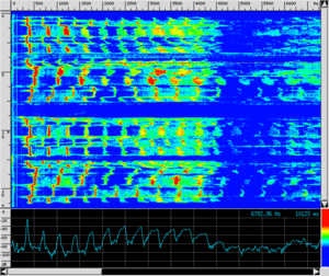 Spettro VOX Sample.png