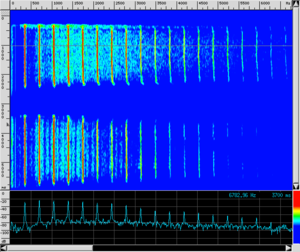 Spettrogramma TR DirezioneMicrofono.png