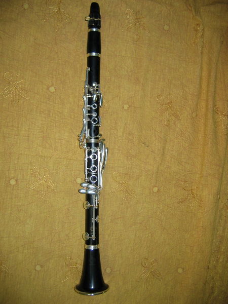 File:Cl intero med.jpg